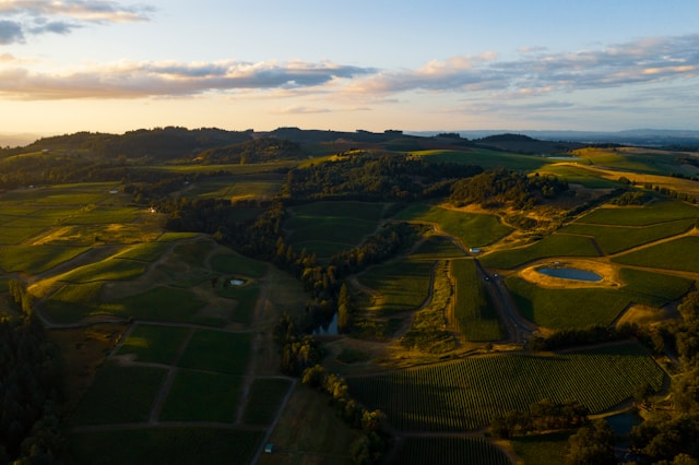 Camping en vignobles